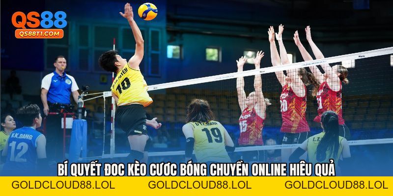 Cược Bóng Chuyền Online - Bứt Phá Lợi Nhuận Mỗi Ngày