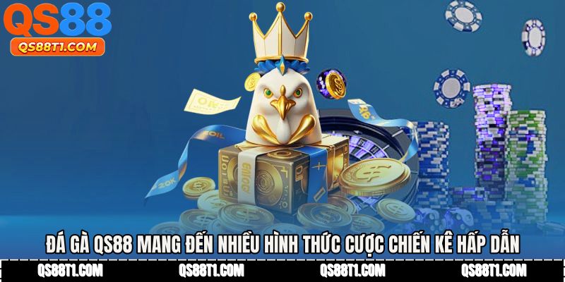 Đá Gà QS88 - Sân Chơi Chiến Kê Uy Tín Dành Cho Bạn